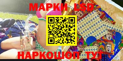 шишки Кимры