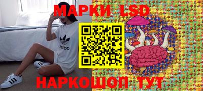 шишки Кимры