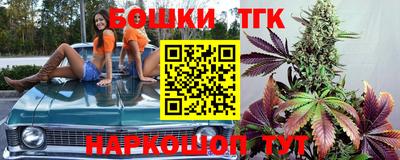 шишки Кимры