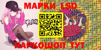 шишки Кимры