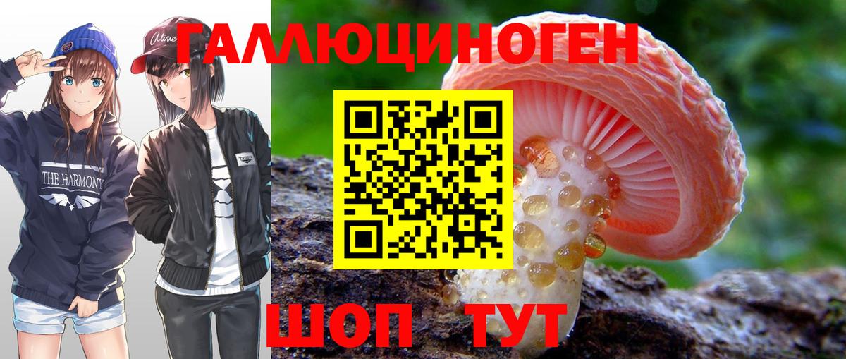 Галлюциногенные грибы мицелий Чебаркуль
