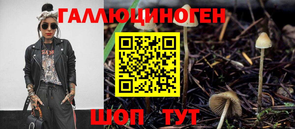 Чебаркуль  закладка  Псилоцибиновые грибы MAGIC MUSHROOMS  Вход с VPN  Галлюциногенные грибы Cubensis 